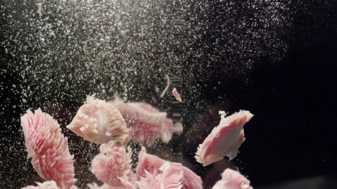 火锅食材郡肝对虾掉入水中水下拍摄创意视频