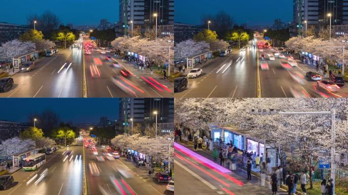 樱花站台车流延时8K