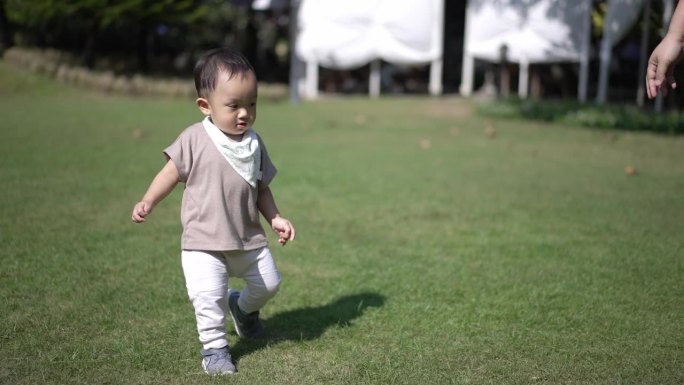 小男孩在公园的大自然中学习和玩耍