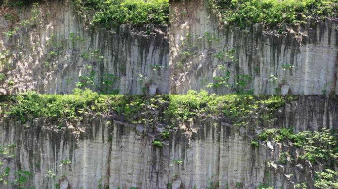 南京桂子山石柱林