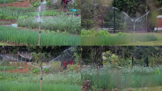 花园自动喷水系统