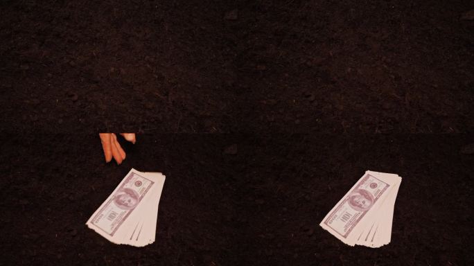 一位农民的手把一叠美元钞票扔到地上，象征着投资。向农业投入资金以产生收入。以金钱为背景的地球。