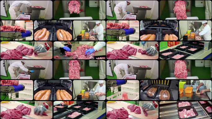 肉类加工业-多屏幕视频