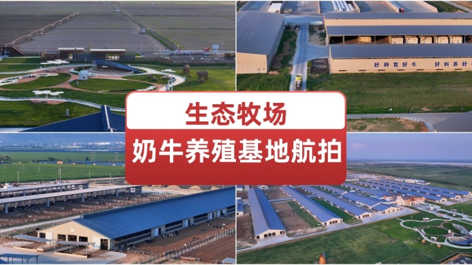 生态牧场奶牛养殖基地航拍