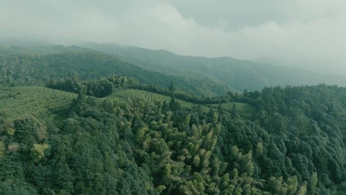 径山寺日出云海