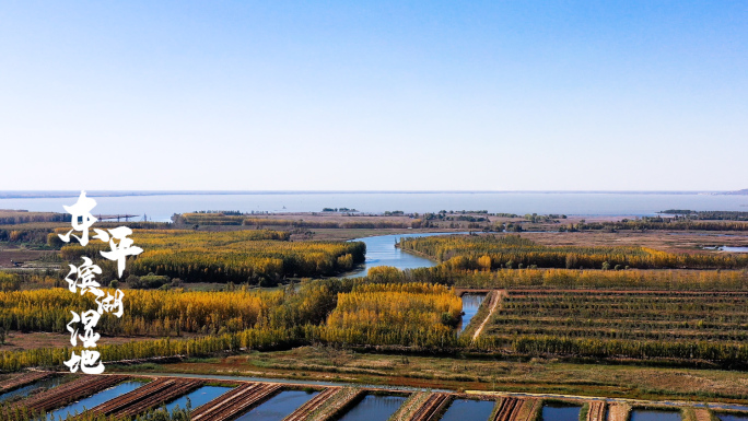 东平湖湿地公园航拍掠过湖面