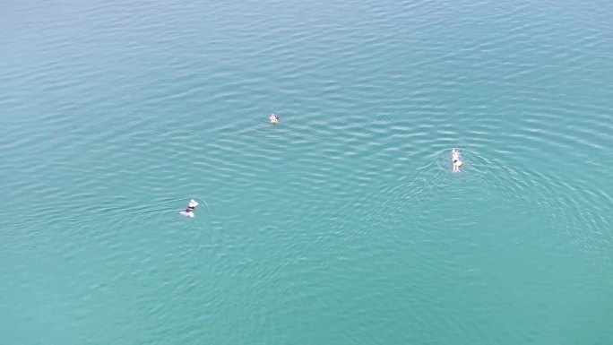 4K航拍尖岗水库游泳