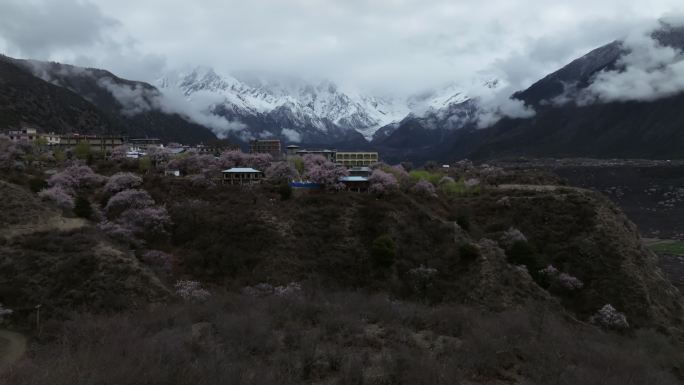 西藏林芝桃花节南迦巴瓦峰多雄拉云雾航拍