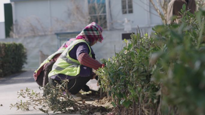 工人路边园林绿化