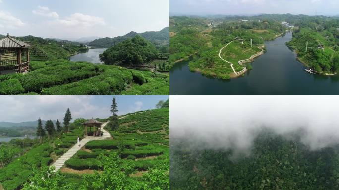 航拍六安茶谷茶园水库茶园风光云雾山谷