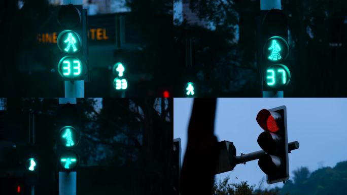 交通信号灯红绿灯