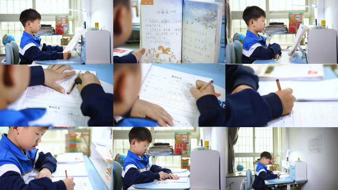 小学生在家专心做作业写字打卡读书预习课文