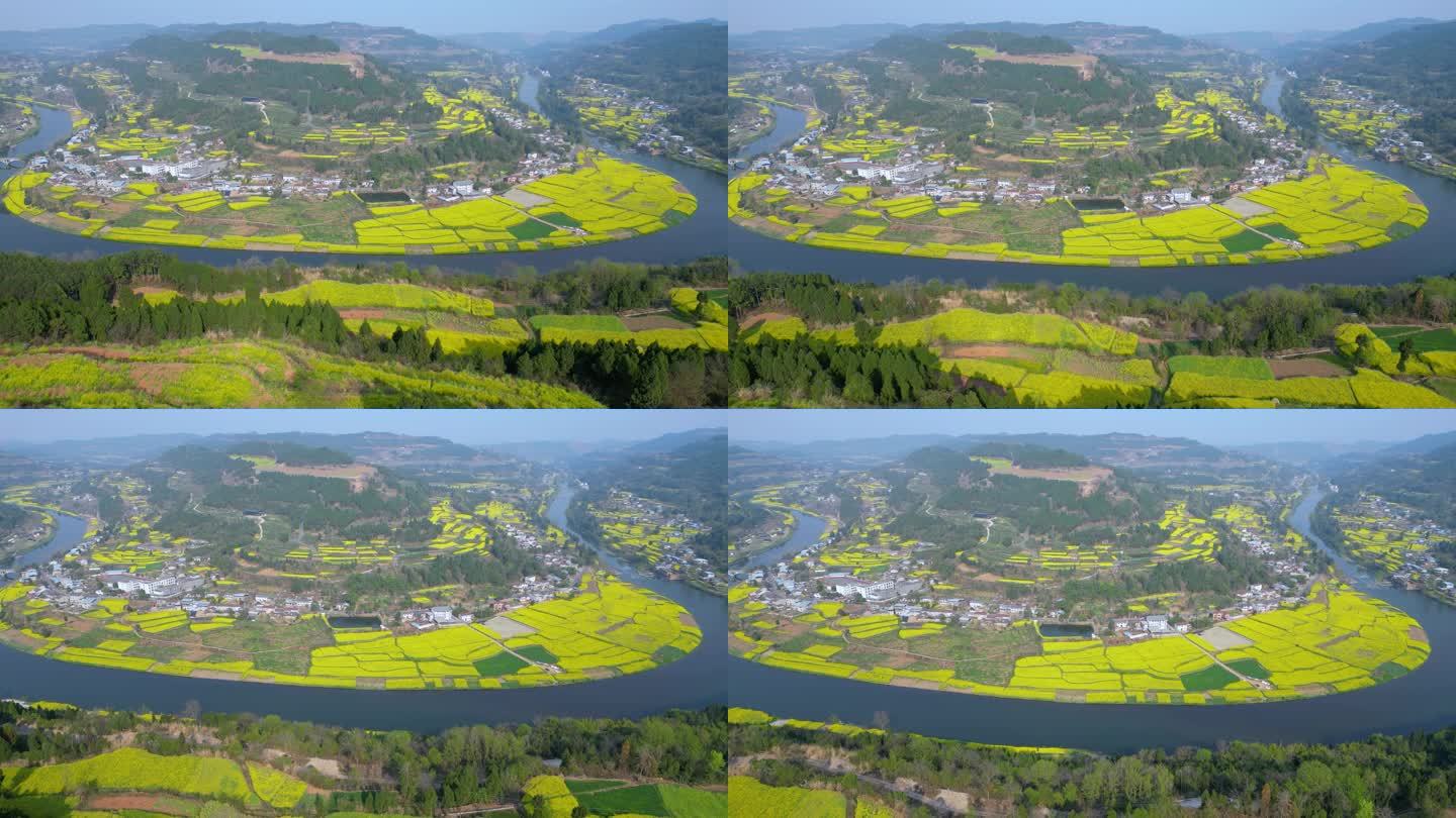 德阳旌阳区双东镇凯江大回湾油菜花风景航