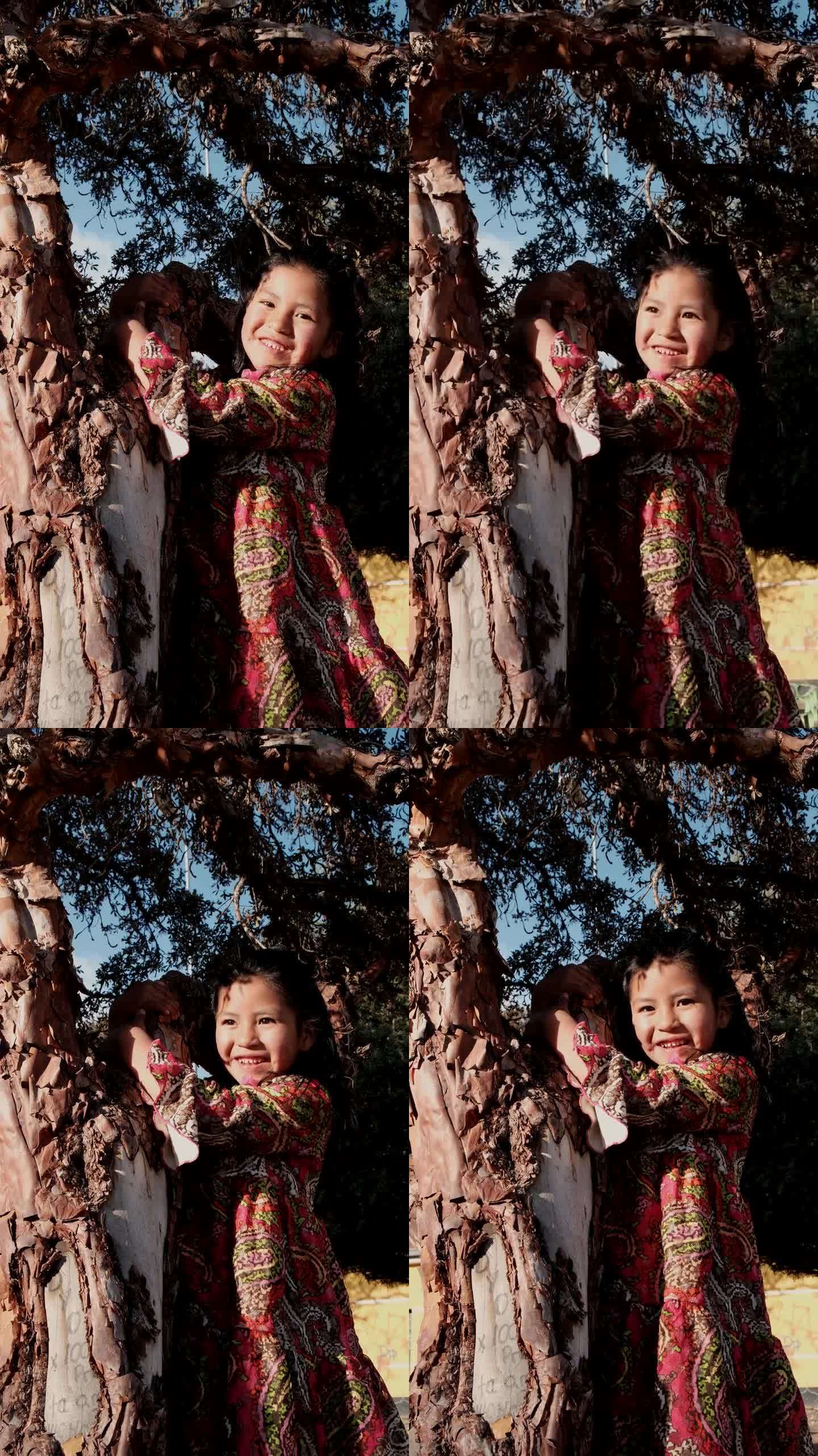 在玻利维亚的拉巴斯，一个快乐的拉丁女孩抱着一棵树玩耍