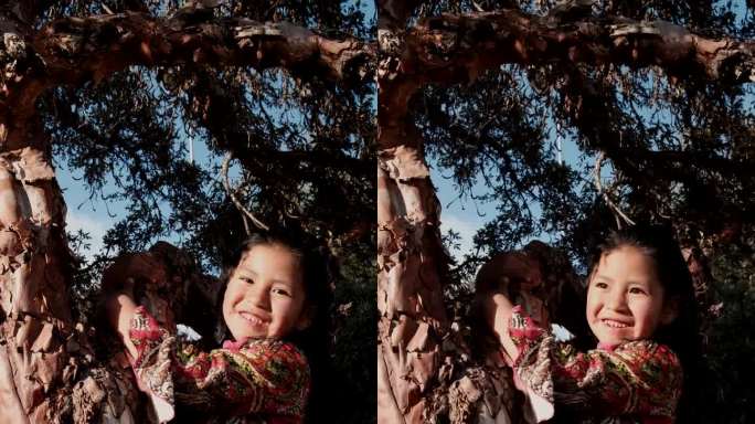 在玻利维亚的拉巴斯，一个快乐的拉丁女孩抱着一棵树玩耍