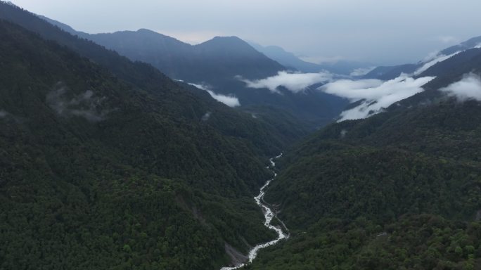 西藏林芝莲花圣地墨脱热带雨林云雾高空航拍