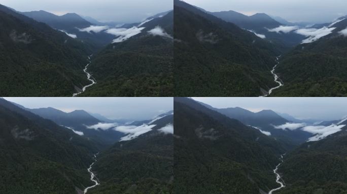 西藏林芝莲花圣地墨脱热带雨林云雾高空航拍