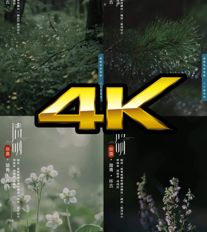 清明节 竖屏4k  AE模板