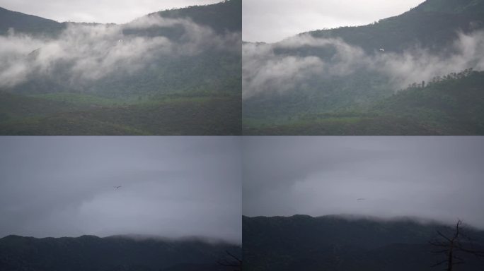 鸟儿飞翔自然云雾山