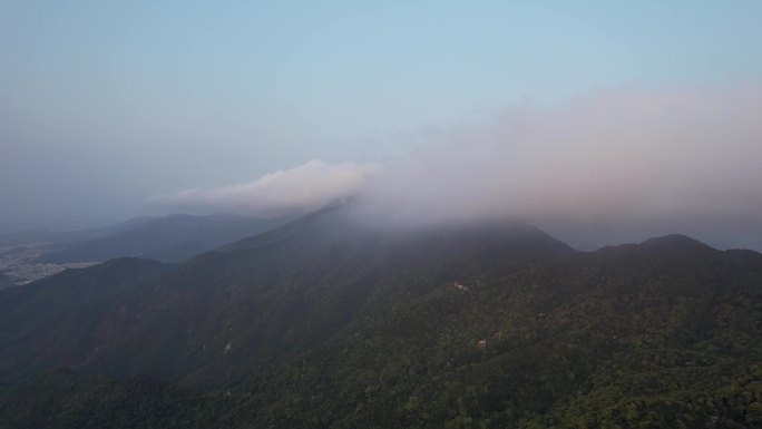 梧桐山云海