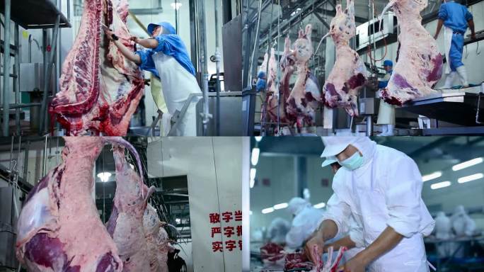 牛肉厂屠宰生产线