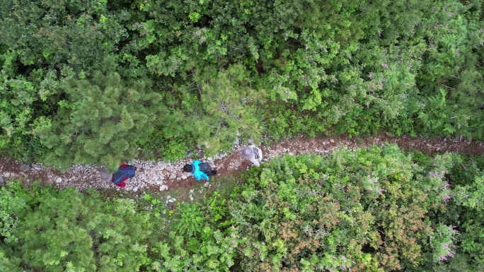 绿色行走户外徒步大自然探险森林翻山越岭