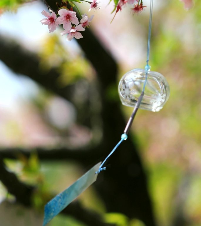 樱花树下唯美风铃特写小清新心情