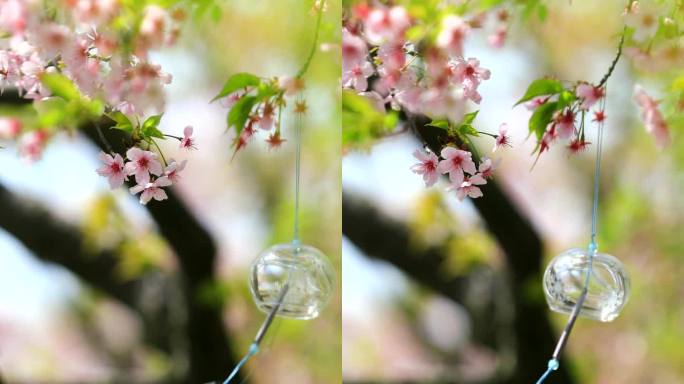 樱花树下唯美风铃特写小清新心情