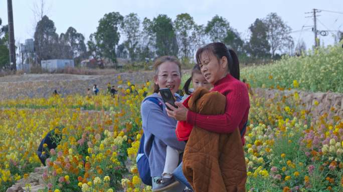 8k游览油菜花观赏拍照人群