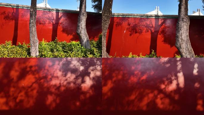 红墙光影 红墙斑驳树影