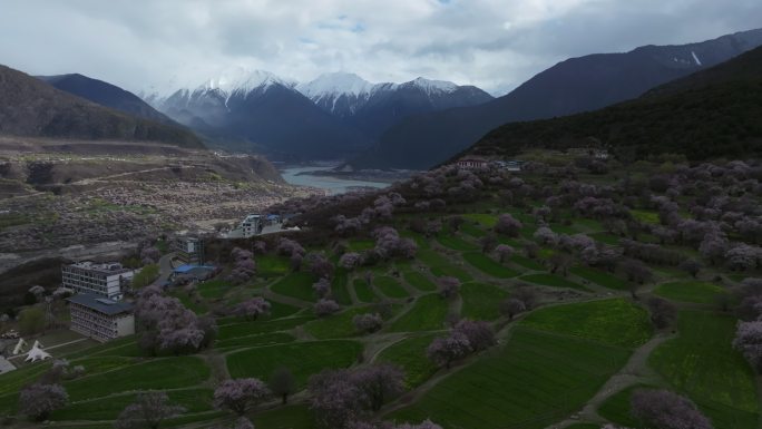 西藏林芝桃花节南迦巴瓦峰多雄拉云雾航拍