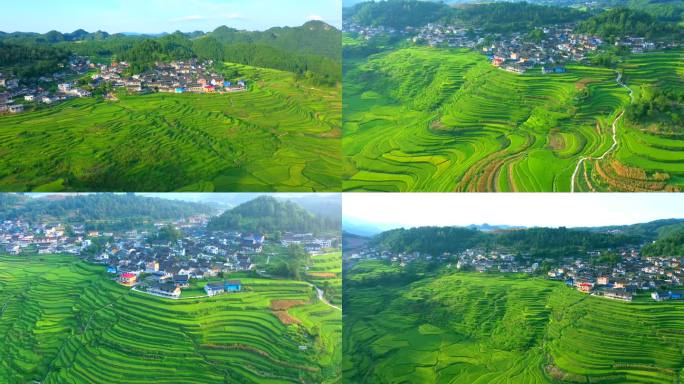 高山梯田风光