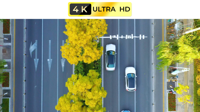 4k航拍城市道路