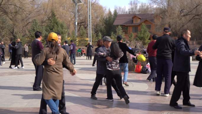 老年幸福生活休闲公园健康锻炼