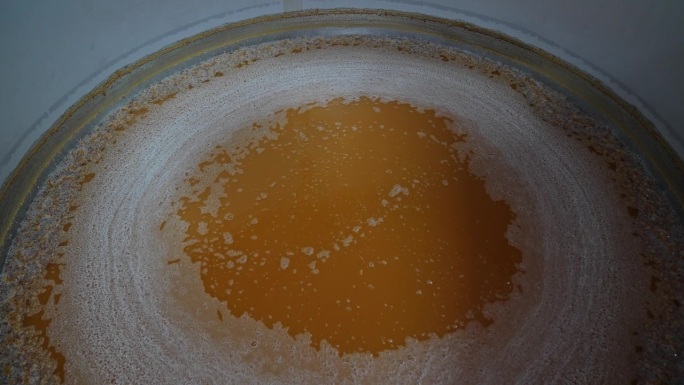 精酿啤酒生产。用于发酵和酿造的啤酒罐。醉人饮料的配制过程