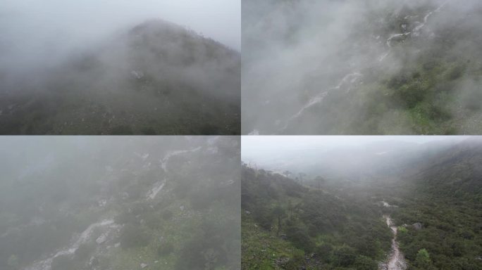 云雾山顶航拍穿云天气原始森林天然氧吧4k