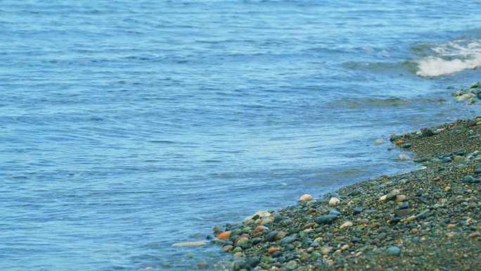 透过清澈的海浪，可以看见海石。《海边的鹅卵石》