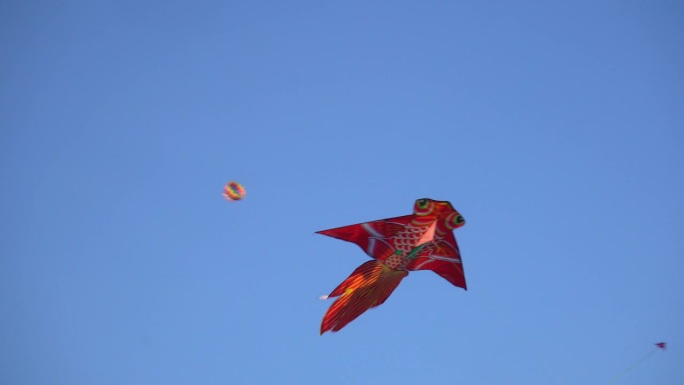 鱼风筝在天上飞。周末公园放风筝欢乐亲子时