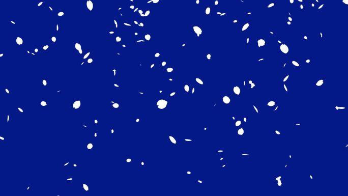 白色剪影樱花暴风雪的循环视频，花瓣从上到下落下(蓝色)