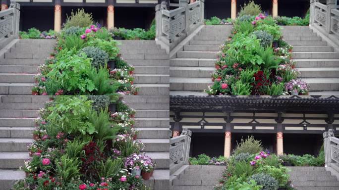 绿植植被装饰鲜花