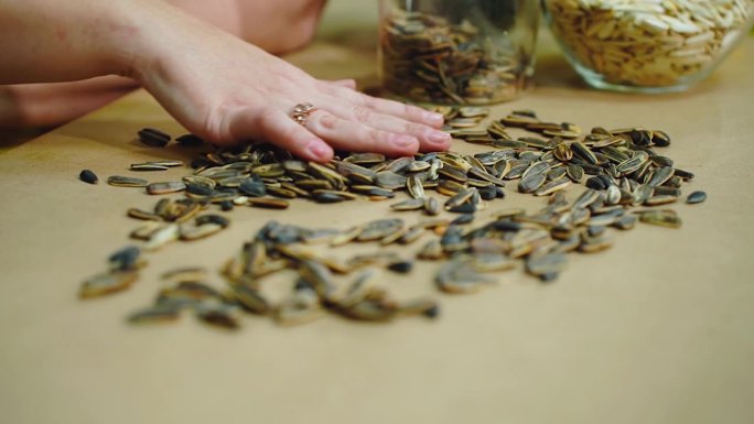 棕色条纹的葵花籽，特写。天然产品的质量评估。一位妇女用手将收获的葵花籽放在工艺纸上晾晒。