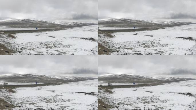 高原雪景牦牛新疆西藏青海青藏高海拔雪山