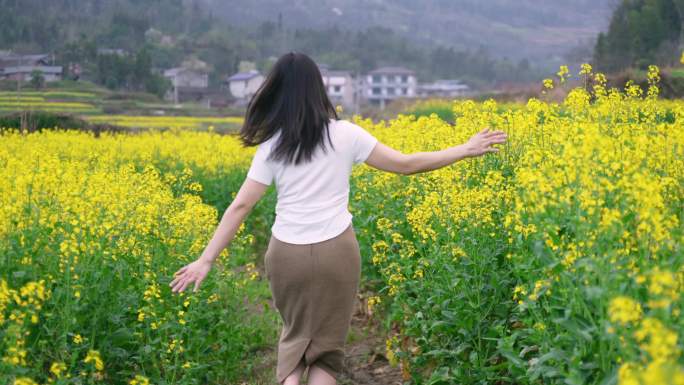 4K实拍唯美油菜花春分时节