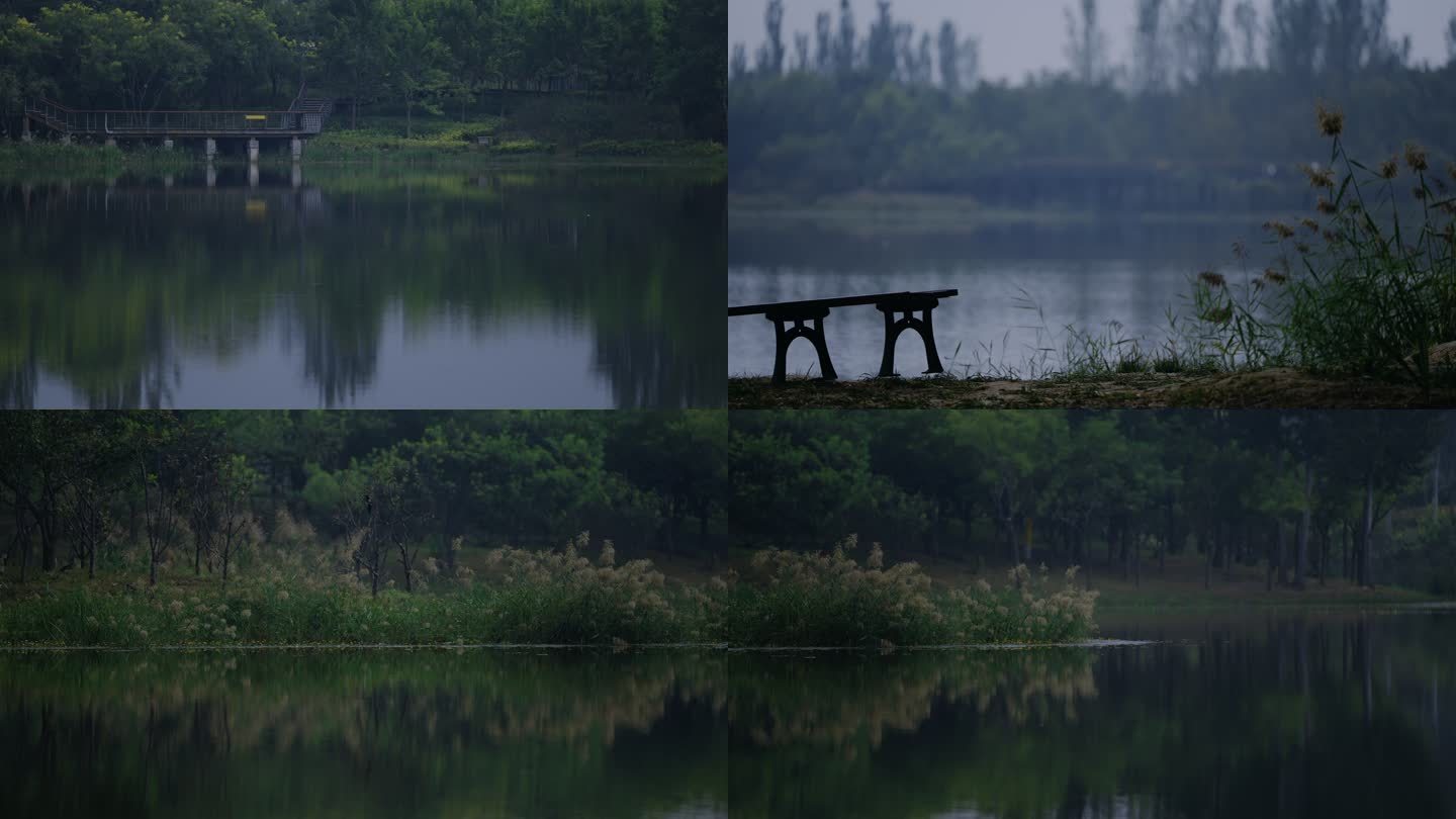 阴天自然风光湿地静谧湖面倒影鸟类栖息地