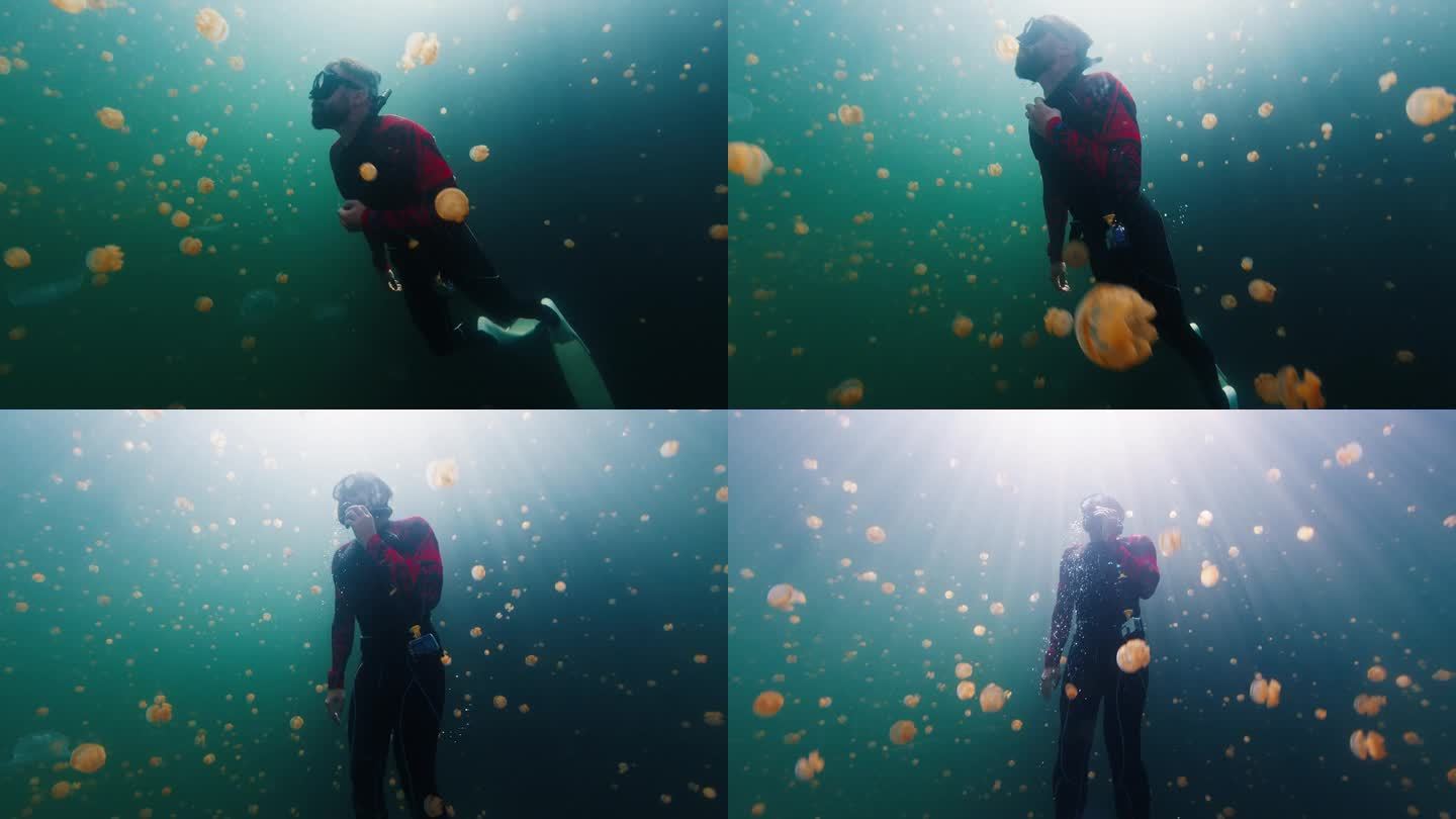 自由潜水员在满是无刺水母的湖里游泳。西巴布亚，米苏尔，印度尼西亚