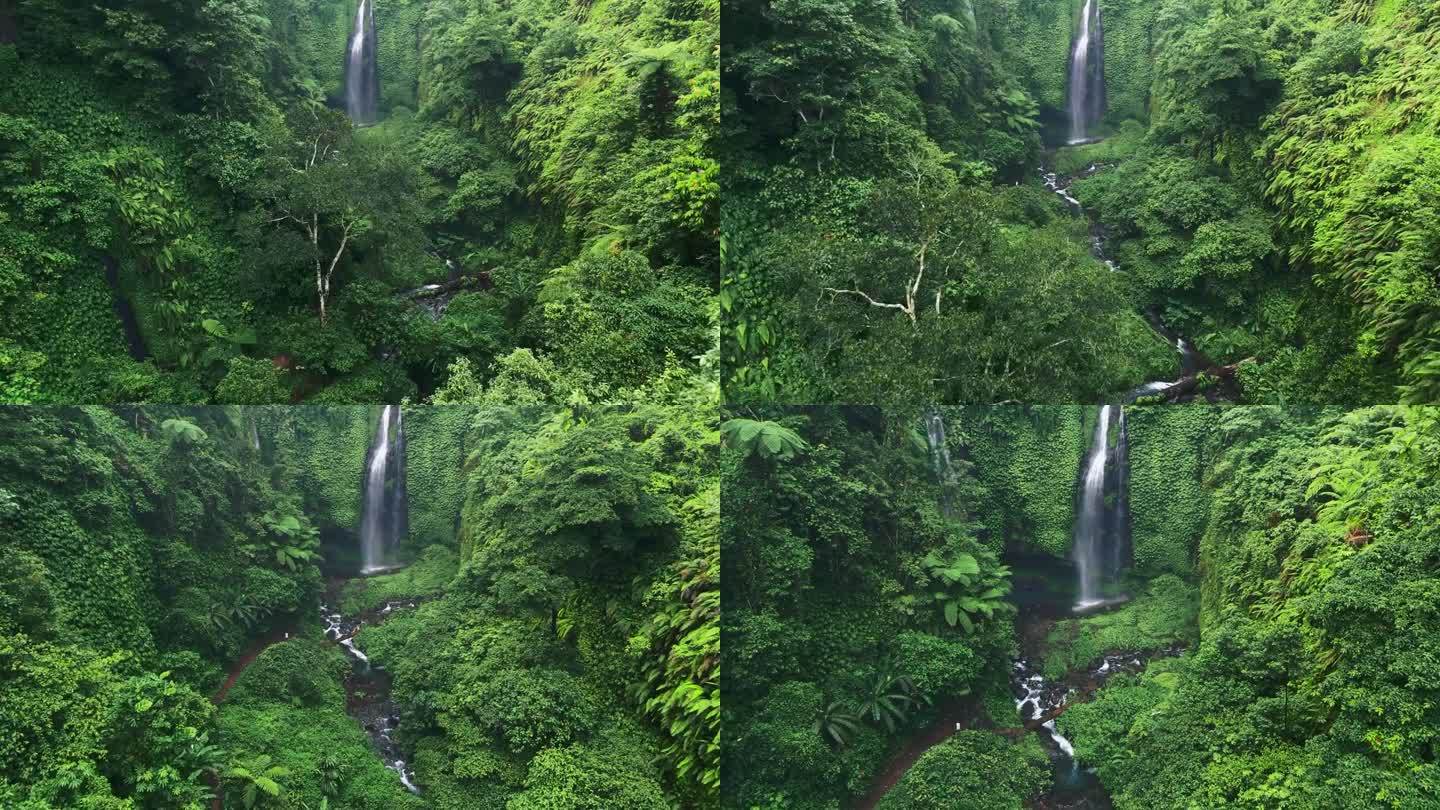 隐藏在热带雨林丛林中的瀑布。在覆盖着热带植物和雨林的峡谷中飞行，有河流和瀑布。航拍，4K