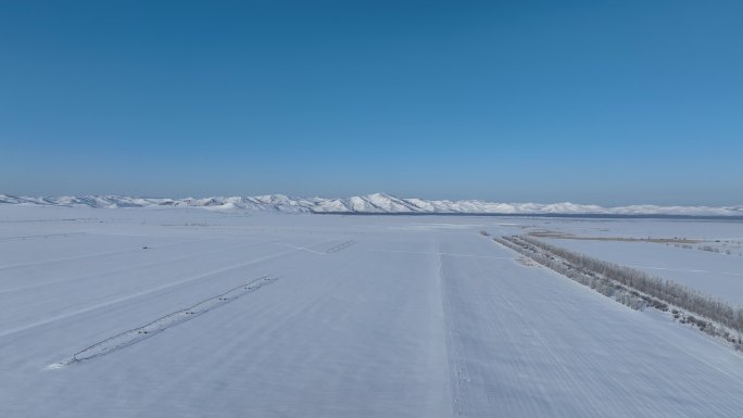 呼伦贝尔垦区雪原风光