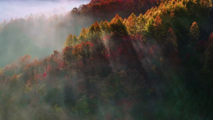 秋天云雾缭绕的山