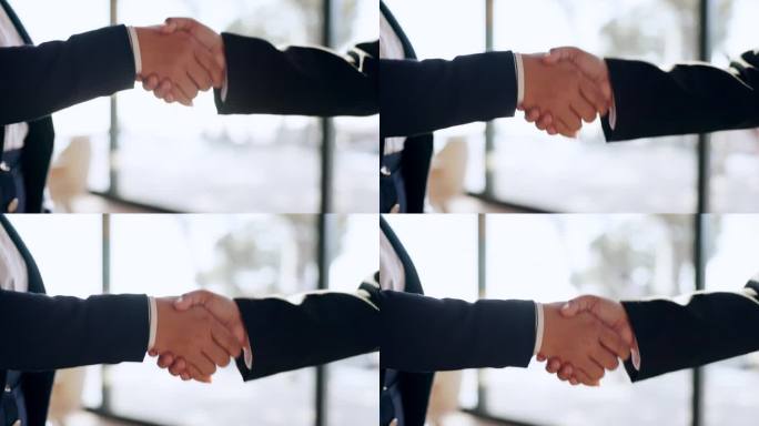 首席执行官、老板或商人在b2b会议谈判或签订合同时握手。招聘，握手变焦或人事经理在工作面试中为网络或