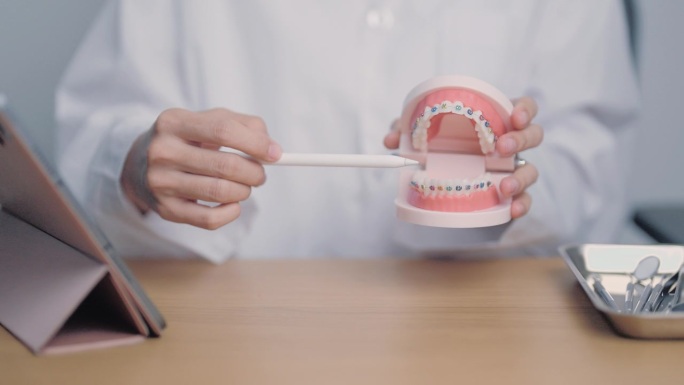 牙医使用正畸牙齿模型和托架或支具。清洁并刮去牙垢。五月正畸健康日，三月口腔健康日，牙医日，假牙。牙痛